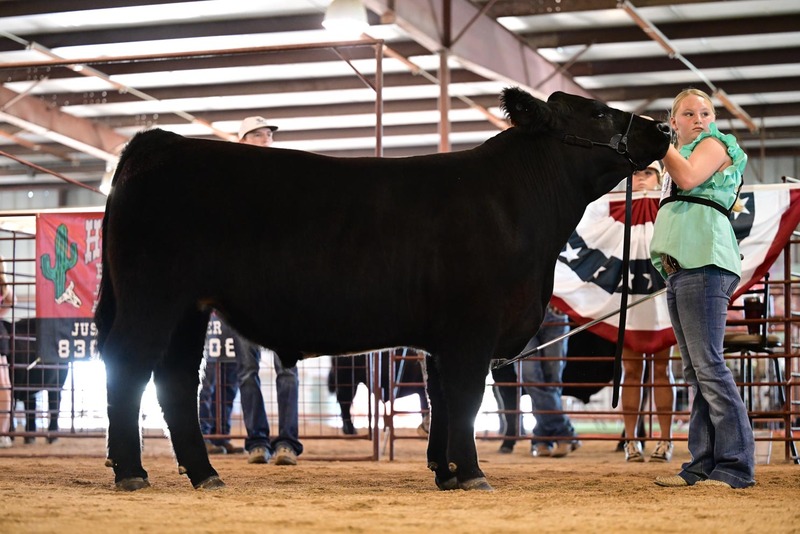 25RDC-BlackCross-9152.jpg