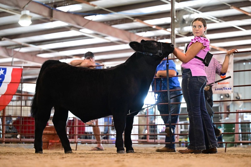 25RDC-BlackCross-9182.jpg