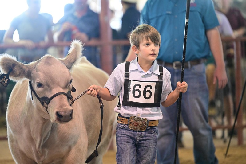 25RDC-Smokey-9224.jpg