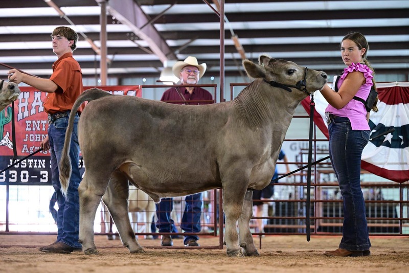 25RDC-Smokey-9227.jpg
