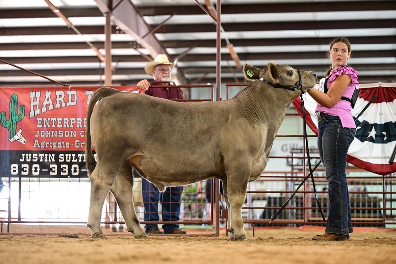 25RDC-Smokey-9231.jpg