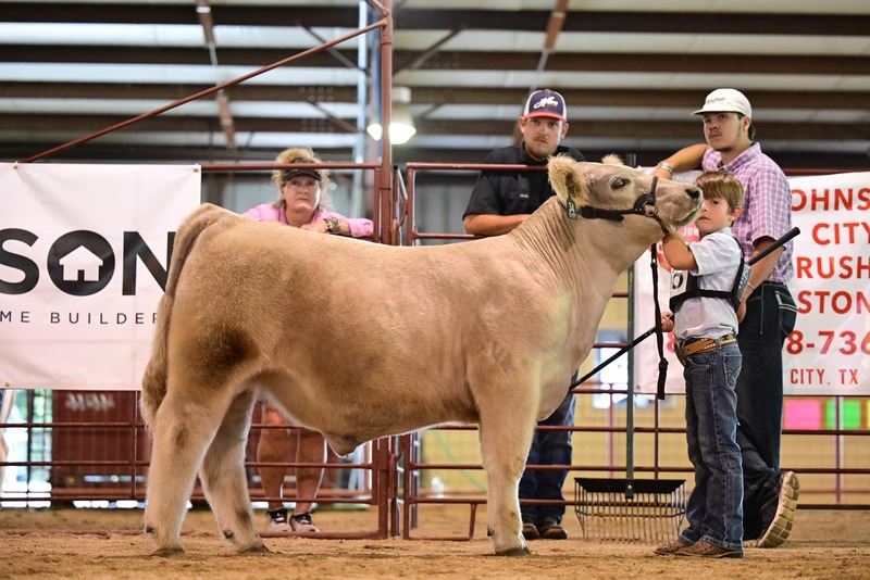 25RDC-Smokey-9240.jpg