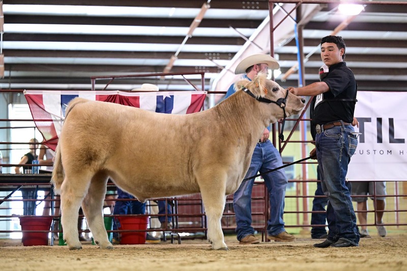25RDC-Smokey-9251.jpg