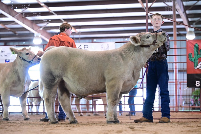 25RDC-Smokey-9252.jpg