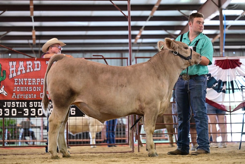 25RDC-Smokey-9253.jpg