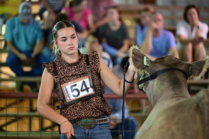 25RDC-Smokey-9273.jpg