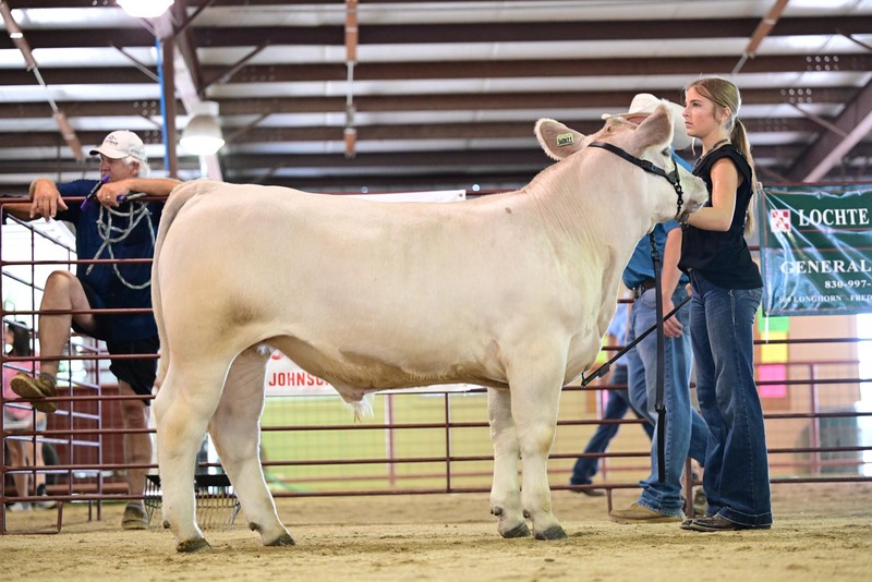 25RDC-Smokey-9275.jpg