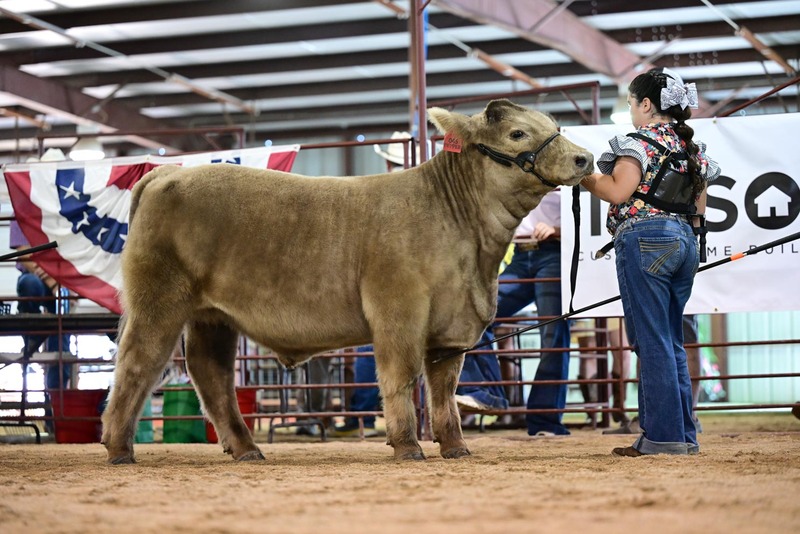 25RDC-Smokey-9276.jpg