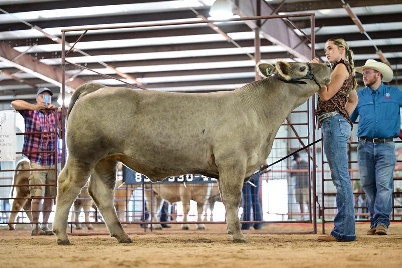 25RDC-Smokey-9283.jpg