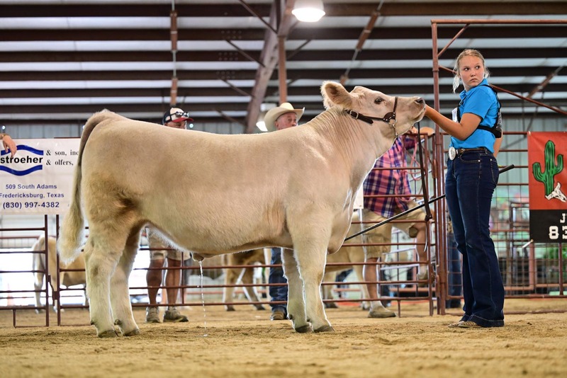 25RDC-Smokey-9292.jpg