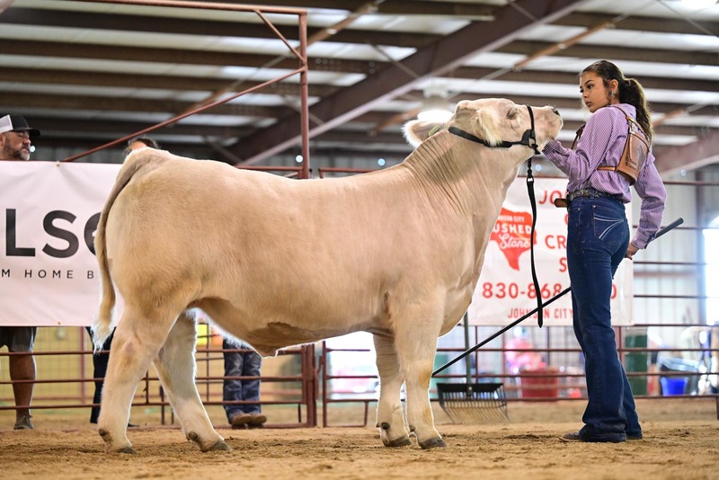 25RDC-Smokey-9297.jpg