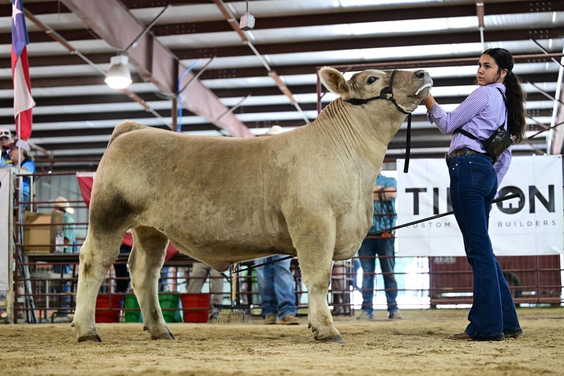25RDC-Smokey-9330.jpg