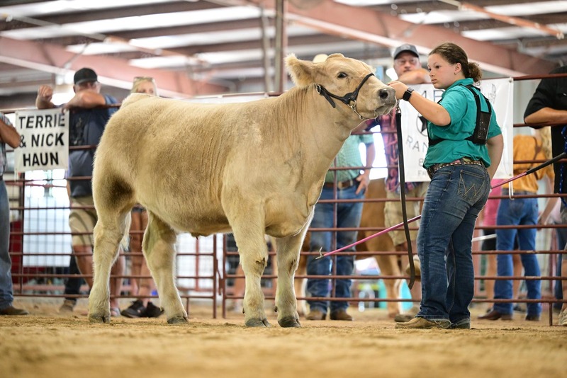25RDC-Smokey-9343.jpg
