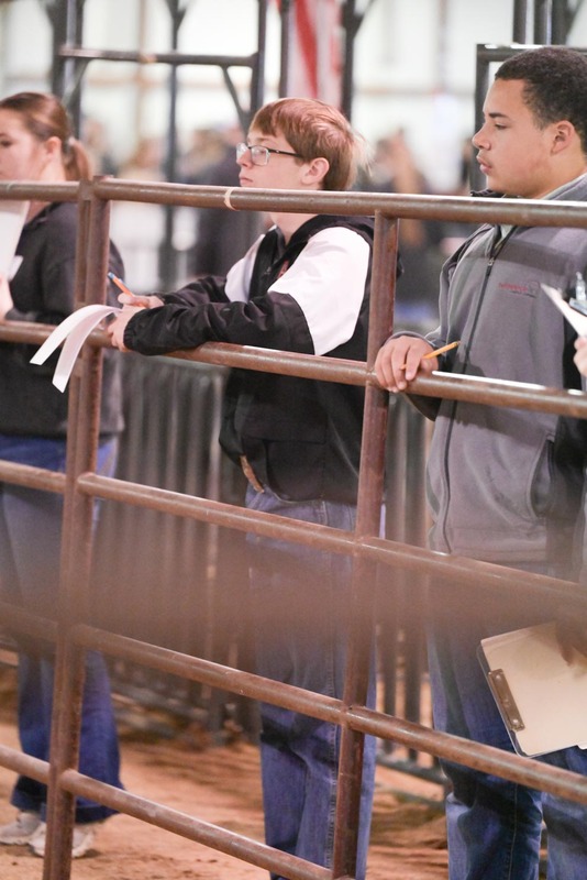26GS-LivestockJudging-9390.jpg