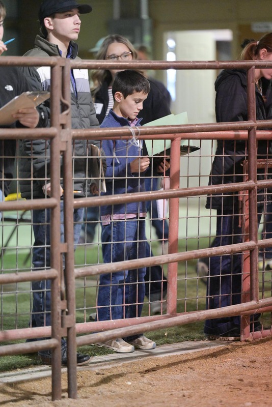 26GS-LivestockJudging-9392.jpg