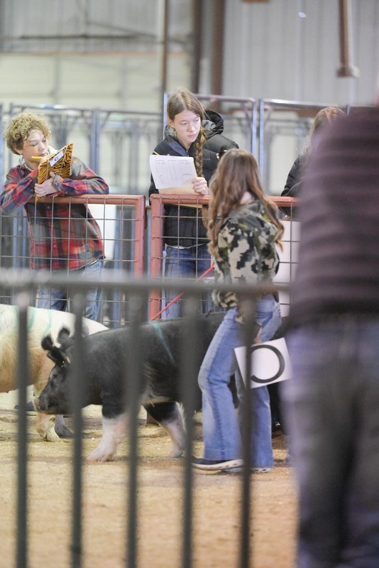 26GS-LivestockJudging-9404.jpg