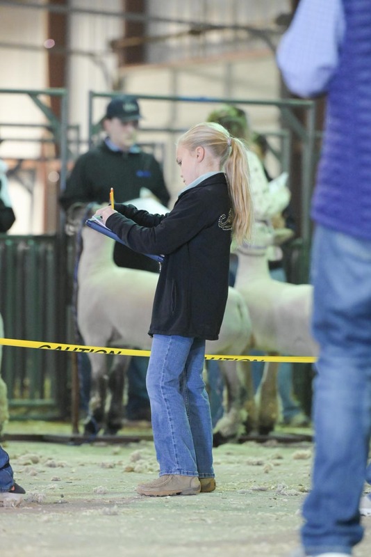 26GS-LivestockJudging-9421.jpg