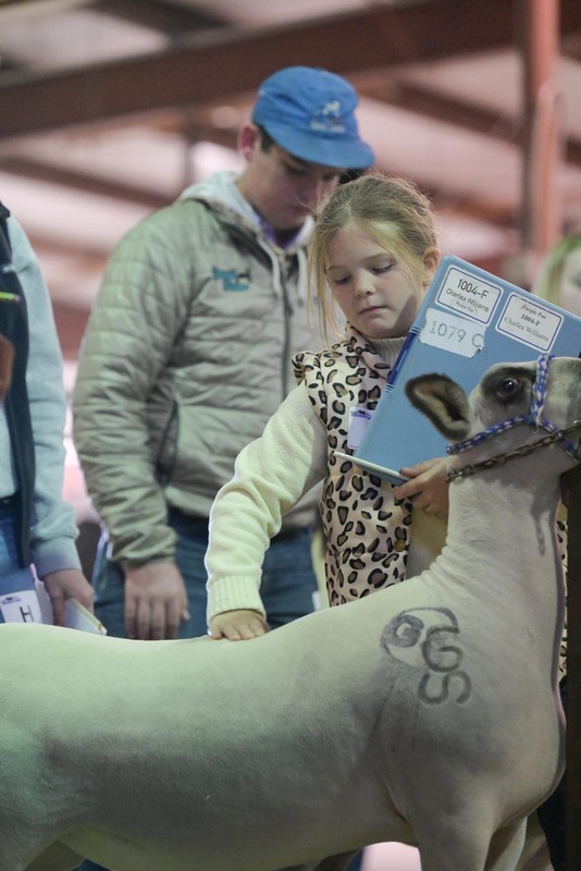 26GS-LivestockJudging-9427.jpg