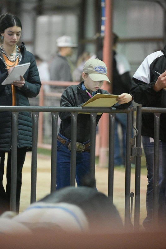 26GS-LivestockJudging-9435.jpg