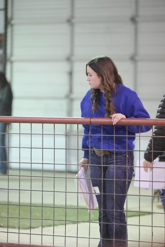 26GS-LivestockJudging-9438.jpg