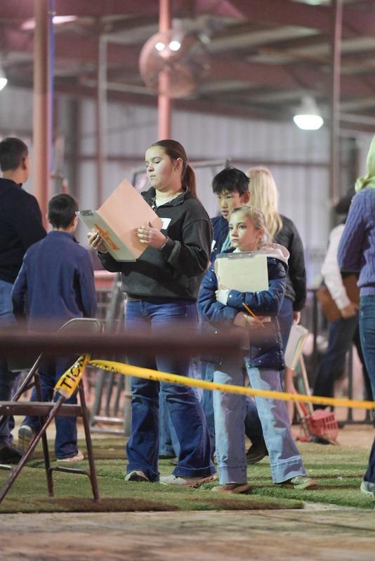 26GS-LivestockJudging-9463.jpg