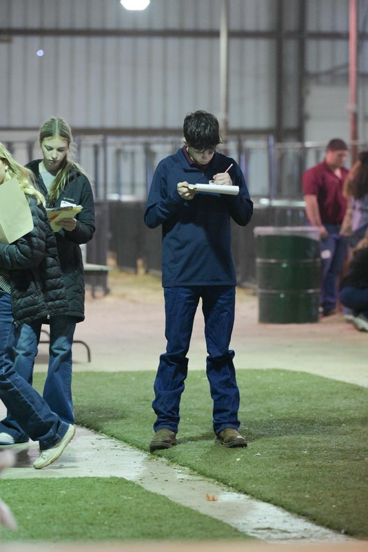 26GS-LivestockJudging-9476.jpg