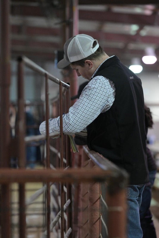 26GS-LivestockJudging-9491.jpg