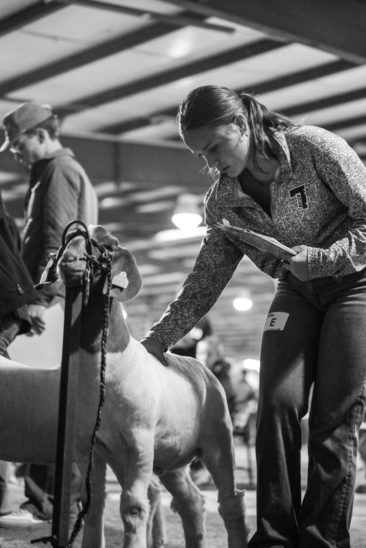 26GS-LivestockJudging-9508.jpg