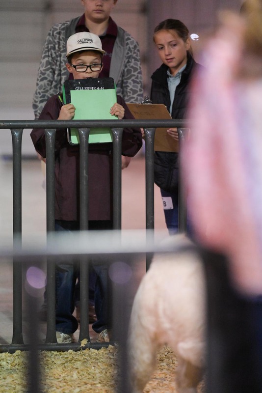 26GS-LivestockJudging-9543.jpg