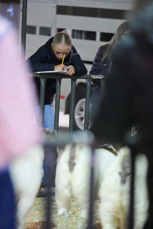 26GS-LivestockJudging-9544.jpg