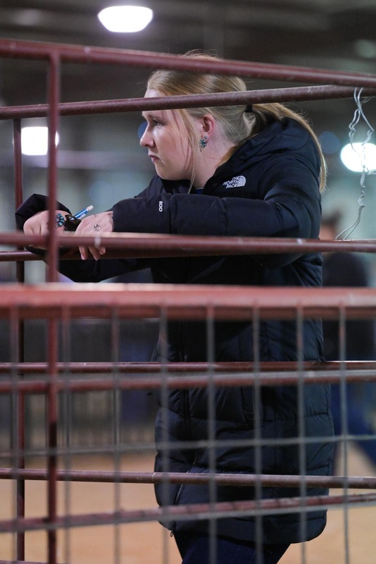 26GS-LivestockJudging-9561.jpg