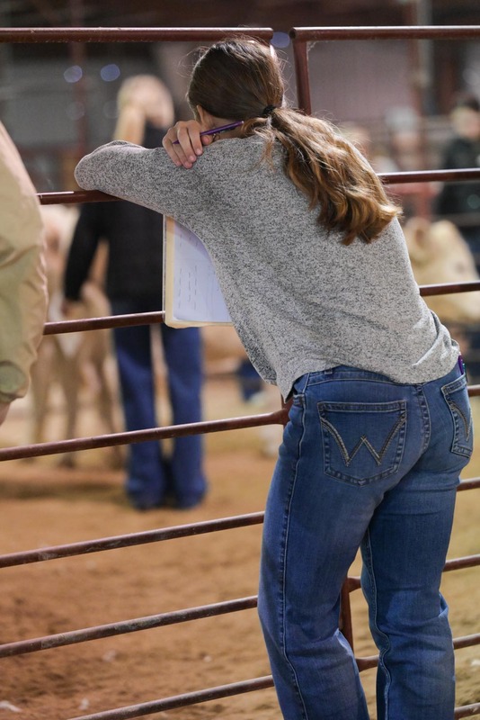 26GS-LivestockJudging-9569.jpg