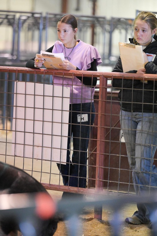 26GS-LivestockJudging-9578.jpg