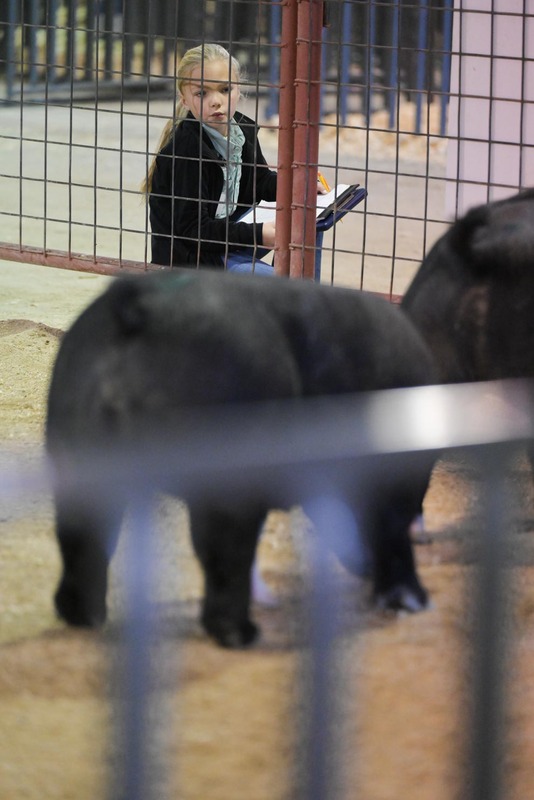 26GS-LivestockJudging-9581.jpg