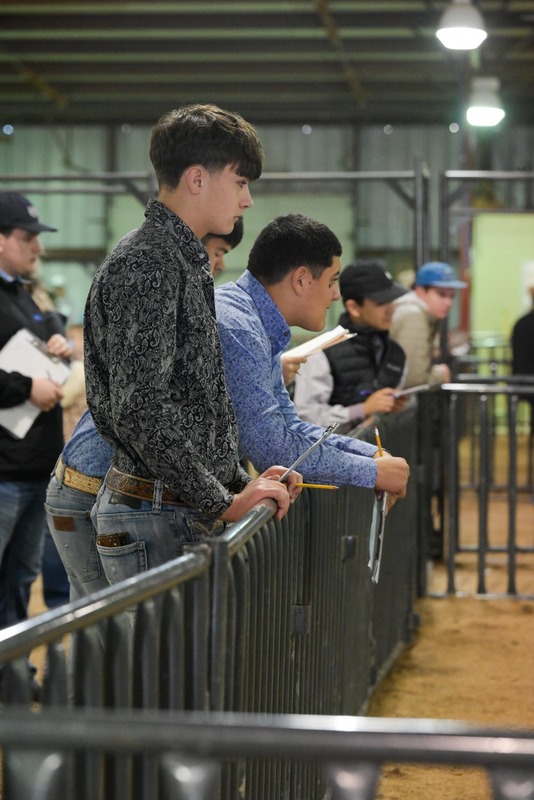 26GS-LivestockJudging-9583.jpg