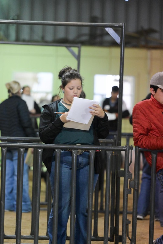 26GS-LivestockJudging-9585.jpg