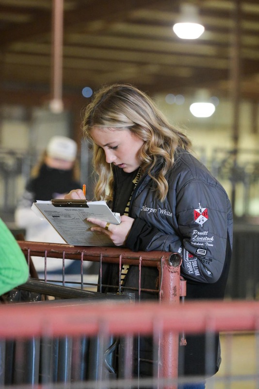 26GS-LivestockJudging-9588.jpg