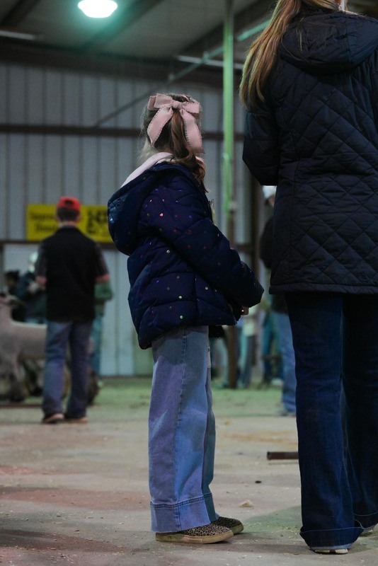 26GS-LivestockJudging-9603.jpg