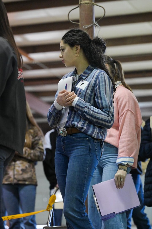 26GS-LivestockJudging-9609.jpg