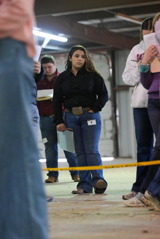 26GS-LivestockJudging-9613.jpg