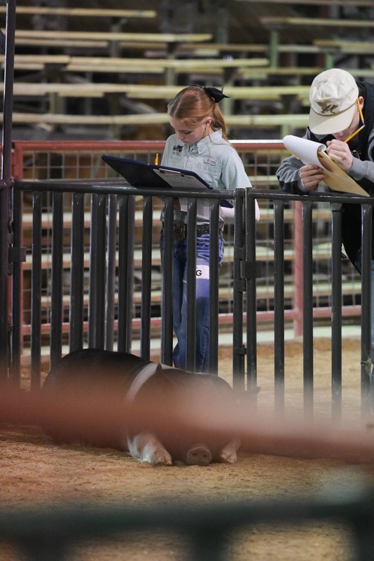 26GS-LivestockJudging-9622.jpg