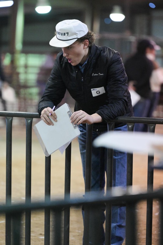 26GS-LivestockJudging-9624.jpg