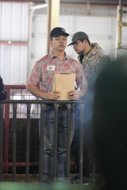 26GS-LivestockJudging-9632.jpg