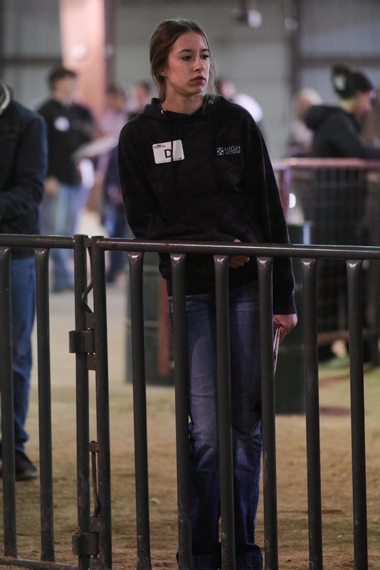 26GS-LivestockJudging-9653.jpg