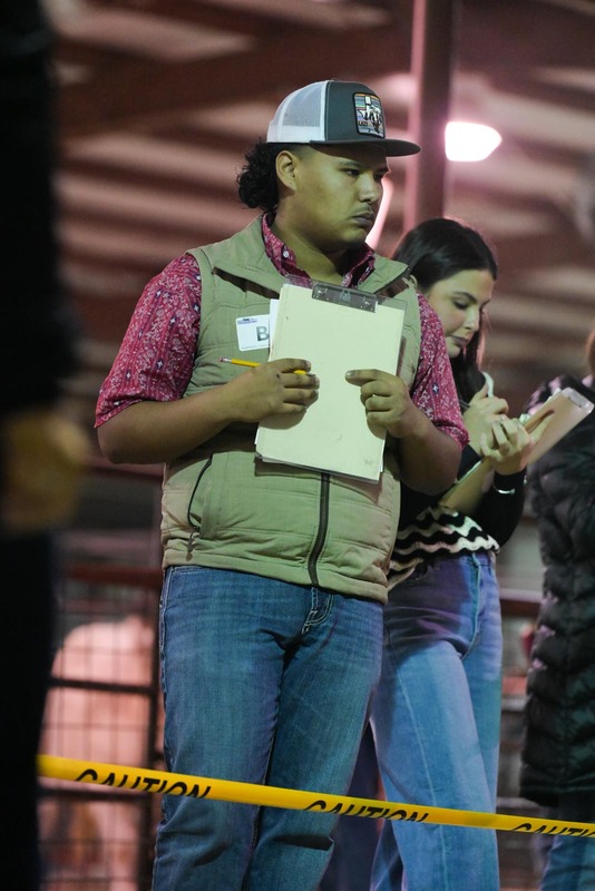 26GS-LivestockJudging-9669.jpg