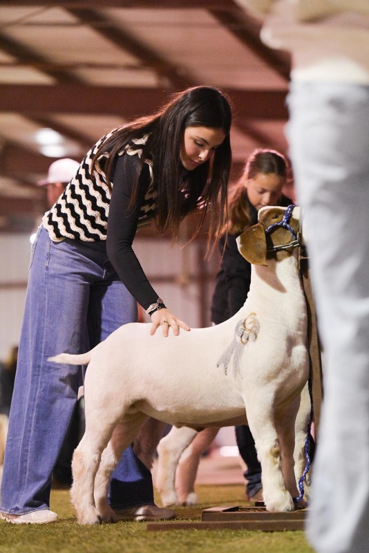 26GS-LivestockJudging-9683.jpg