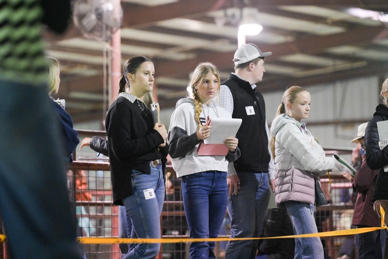 26GS-LivestockJudging-9686.jpg