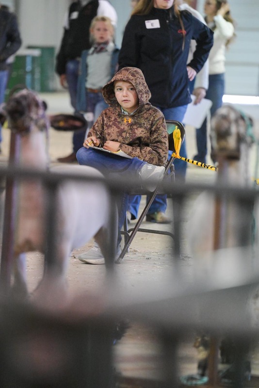 26GS-LivestockJudging-9713.jpg