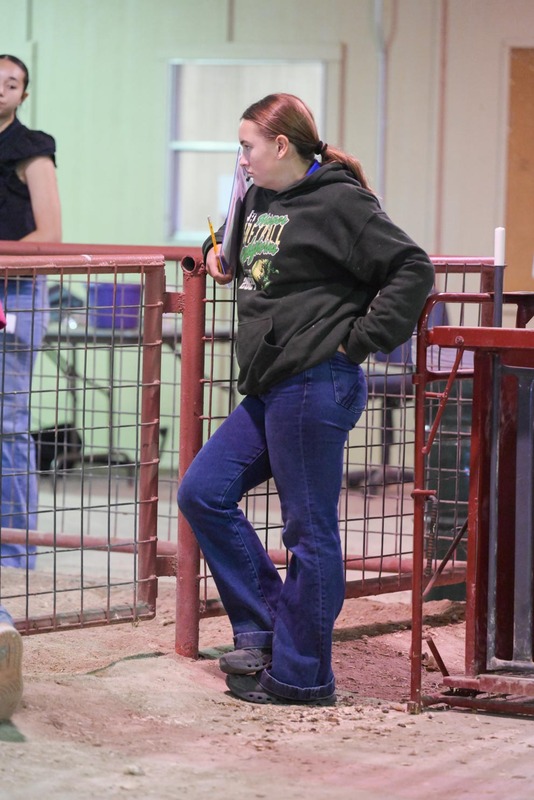 26GS-LivestockJudging-9717.jpg