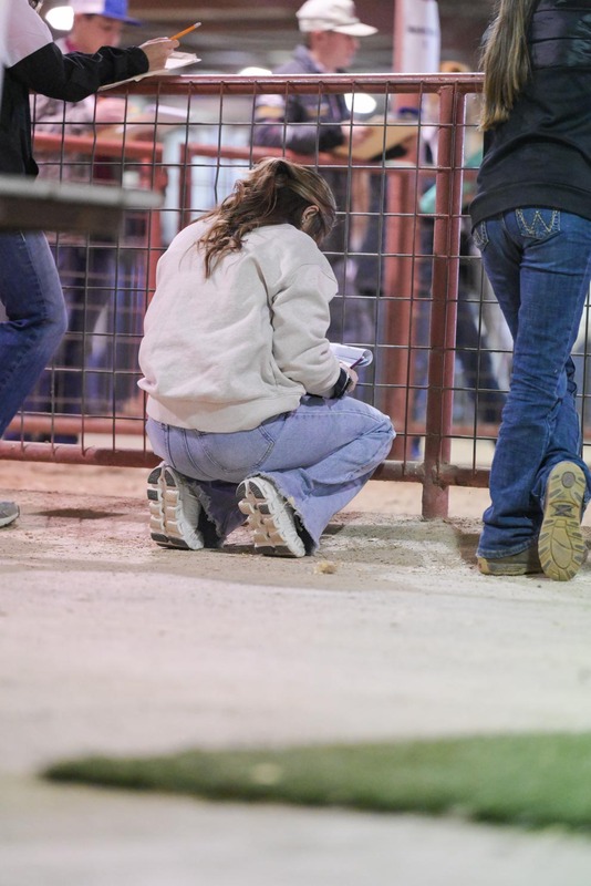 26GS-LivestockJudging-9728.jpg